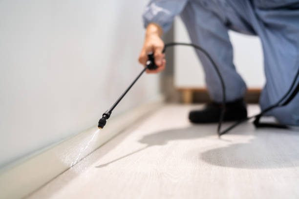 Licensed Rodent Control service in Thayer County County, NE - Nex Pest Control